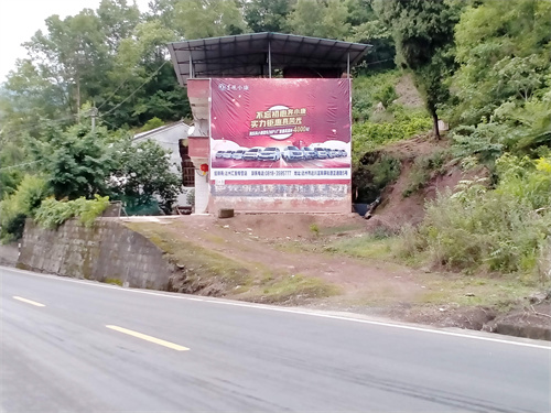 东风风光喷绘案例