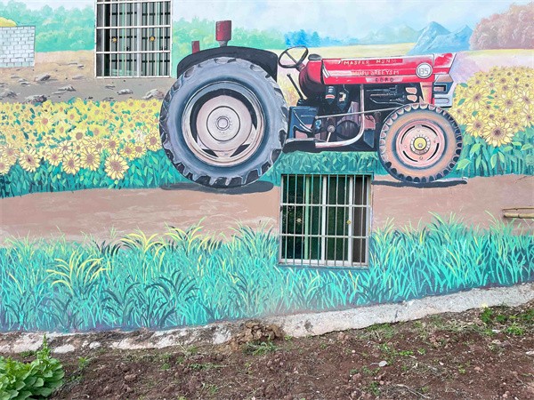 乡村振兴彩绘案例