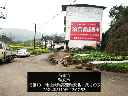 领帝厨电喷绘案例